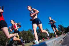 Victorian-Milers-Club-19-December-20242611