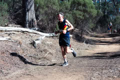 TIM_6595