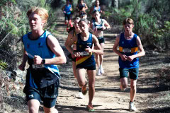 TIM_6717