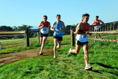 DSC_0079_4888x3272_4491432