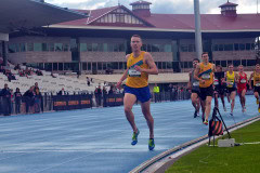 TIM_9156_4928x3264_4588858