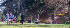 Australian-Cross-Country-Championships-2025z9-0806