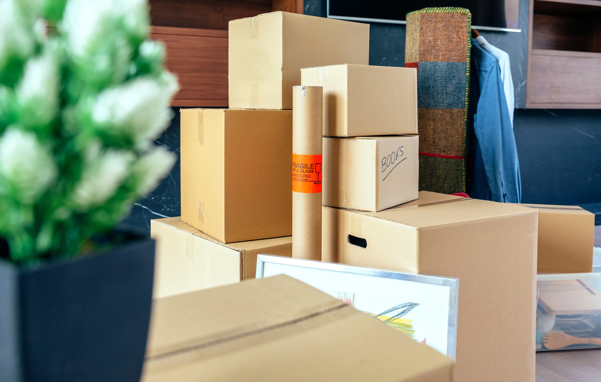 Seattle Moving Packing Tips | Eco Movers