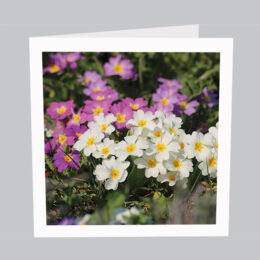 Blumenkarte