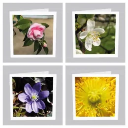 Kartenset-Blumen_neu