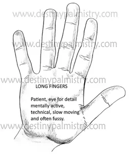 Long Fingers Meaning in Palmistry Destiny Palmistry