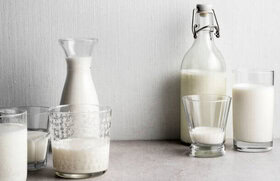 Mastering Homemade Gelato - A Beginner’s Guide To Italy’s Sweetest Tradition image 4 bottles of milk,. jars of cream and dishes of sugar frosted fusions