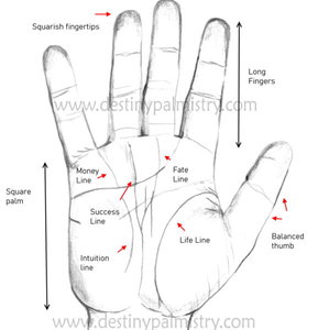 signs of a millionaire in palms, money line