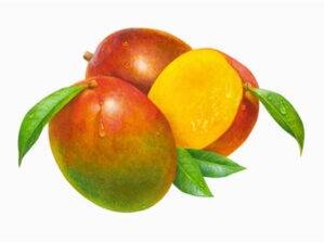 A-Tantalisingly-Tropical-Mango-Ice-Cream-image-4-jpeg-3-Mangoes-one-cut-in-half-showing-lucious-yellow-orange-flesh-with-mango-plant-leaves-frosted-fusions