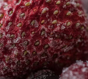 How To Store Homemade Ice Cream To Prevent Freezer Burn image 2 berry covered in icicles frosted fusions