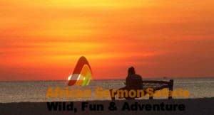 zanzibar tours and holidays - zanzibar beach holiday