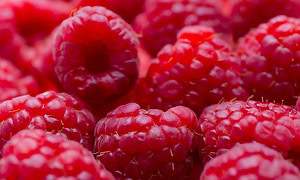 Berrylicious Homemade Raspberry Sorbet image 1 jpeg pile of lucious red raspberries frosted fusions