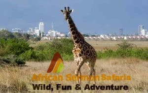 Things to do in nairobi for one day trip: day tours nairobi