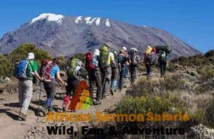 trekking in kenya and tanzania - Kilimanjaro and Mount Kenya