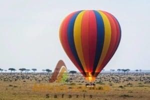 ballooning-safaris Kenya Masai Mara and Amboseli