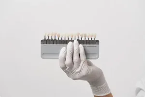 tooth contouring colors