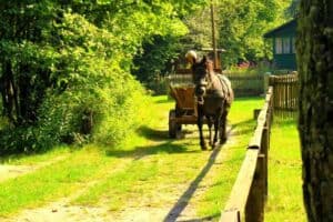 A person drives a horse-drawn wooden cart along a sunlit, tree-lined dirt path&mdash;scenes like this capture the charm of Poland tourism and are just some of the many reasons to visit Poland.