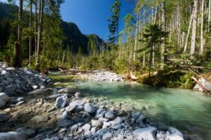 A clear, shallow river flows through a rocky, forested landscape with tall trees and distant mountains under a blue sky, capturing the pristine beauty found in many Polish National Parks.