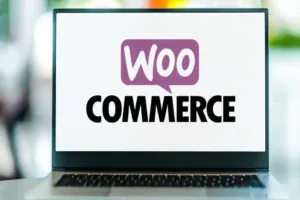 Gallery Woocommerce Evolution 2026