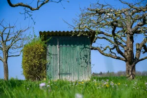 actu comment fabriquer un abri de jardin