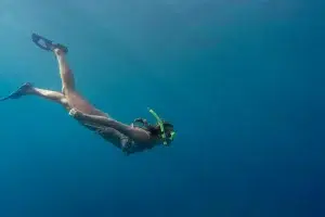 actu comment nager avec des palmes