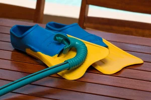 actu quelles palmes pour quelle activité aquatique