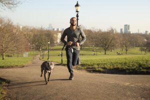 Activités sportives à pratiquer avec mon chien
