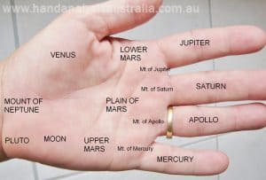 learn palmistry, sari puhakka, destiny palmistry, hand analysis australia, short life line, venus mount, jupiter mount