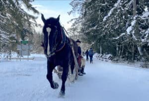 A black horse pulls a wooden sleigh with two passengers along a snowy forest path; two people ski in the background, capturing the charm of winter in Zakopane.