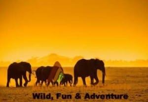 13-days-kenya-explorer-tour-kenya-safari-holiday - safaris in kenya tours