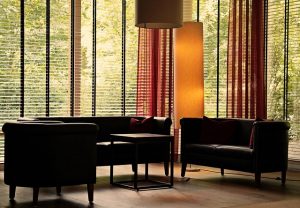 Ménage efficace chez soi dans un salon avec des canapés