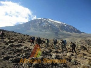 Lemosho-Route-8-days-Kilimanjaro-climb