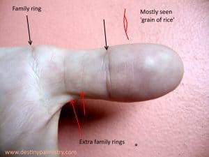 thumb lines family ring on thumb