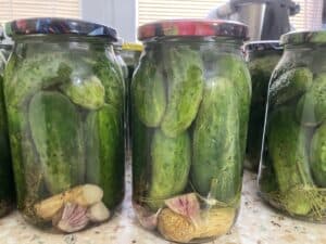 Several jars of Homemade Ogorki Kiszone, crafted using a traditional Polish dill pickle recipe with dill and garlic, sit on a patterned countertop.
