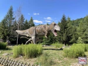 A large Tyrannosaurus rex statue stands in a grassy, fenced area at Bałt&oacute;w Jurapark, surrounded by trees and greenery under a blue sky.
