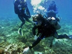 Buceo en las aguas del mar de Filipinas - Un hombre nadando en el agua - Buceo libre