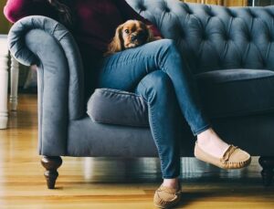 Femme assise sur un canapé gris avec un petit chien