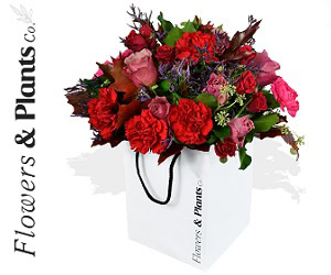 AD-FLOWERS-AND-PLANTS-300x250