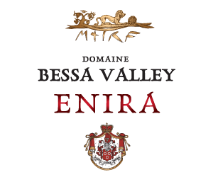 Enira bessa valley лого
