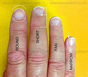 short fingernal, fan shaped nail