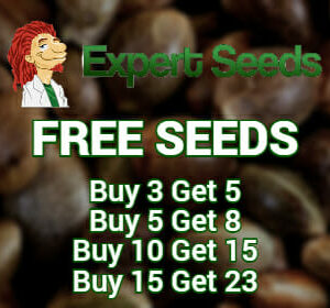 Expert Seeds free cannabis seeds promotion