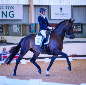 joint supplement Supplement for Arthritis in Horses