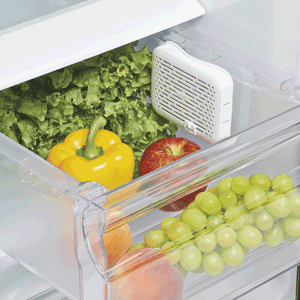 oxo-crisper-filter-final