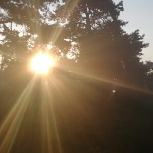 Jouw bijdrage voor het goede doel