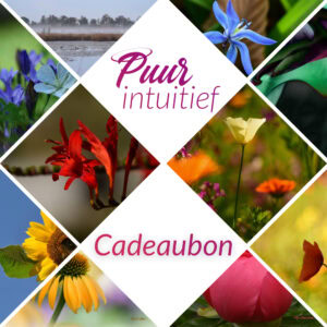 Puur Intu&iuml;tief cadeaubon