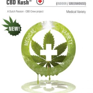 Kush CBD Feminised Cannabis Seeds by Dutch Passion