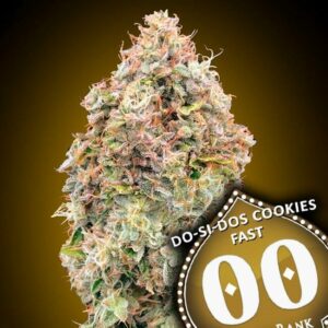 Do-Si-Dos Cookies FAST Feminised Cannabis Seeds by 00 Seeds
