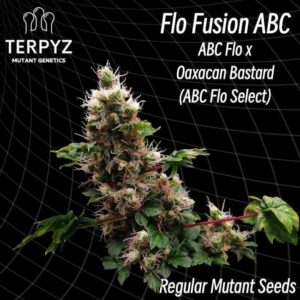 Flo Fusion ABC Regular Cannabis Seeds by TerpyZ Mutant Genetics