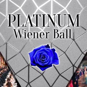 Platinum Wiener Ball Paket BlueRose