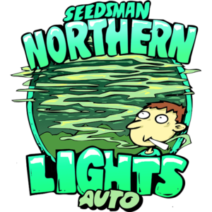 Northern Lights Auto Feminised Cannabis Seeds by Seedsman